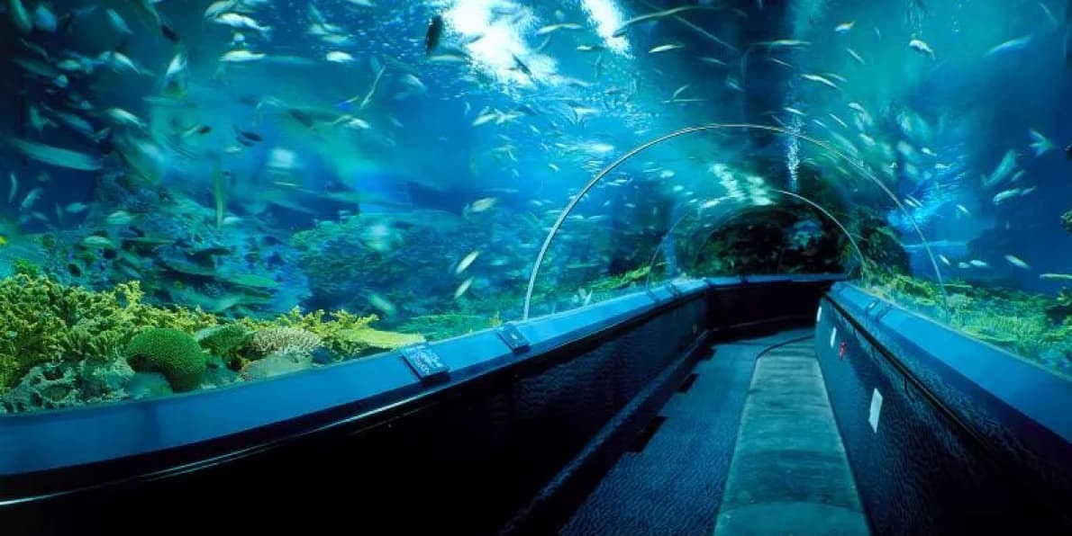 The Shanghai Ocean Aquarium